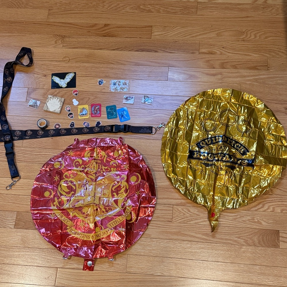Harry Potter accessories